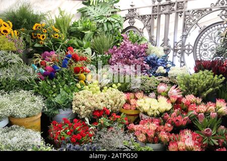 Flower Market, Adderley Street, Cbd, Città Del Capo, Table Bay, Provincia Del Capo Occidentale, Sud Africa, Africa Foto Stock