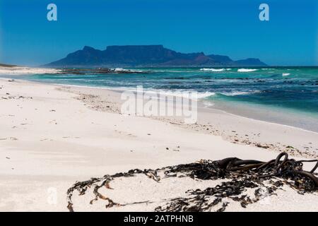 Table Mountain e Table Bay tratto dalla spiaggia di Bloubergstrand, Città del Capo, Sud Africa Foto Stock