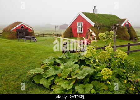 Lindarbakki, tradizionale casa in legno coperta di torba del 1899, Bakkagerdi, chiamata anche Borgarfjoerdur eystri, Islanda orientale Foto Stock