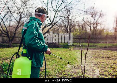 Coltivatore uomo che spruzza albero con insetticida manuale contro insetti in giardino di primavera. Agricoltura e giardinaggio Foto Stock