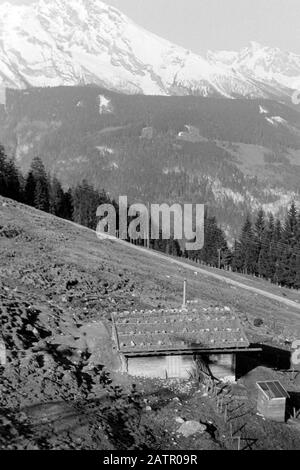 Mit der Seilbahn auf den Jenner. Almhütte auf der Königsbachalm, 1957. Salita sul monte Jenner via ropeway. Rifugio alpino su Königsbach alp, 1957. Foto Stock