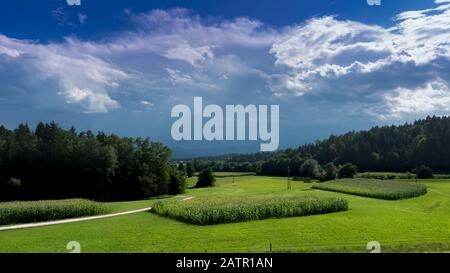 La tempesta si sta radunando sul campo di mais vicino alla foresta, nubi di temporale in estate, vista sulla campagna Foto Stock