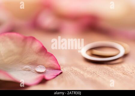 San Valentino - anelli di proposta per matrimonio, anniversario, background impegno. Primo piano di goccia d'acqua sul petalo rosa rosa per invito carta, post Foto Stock