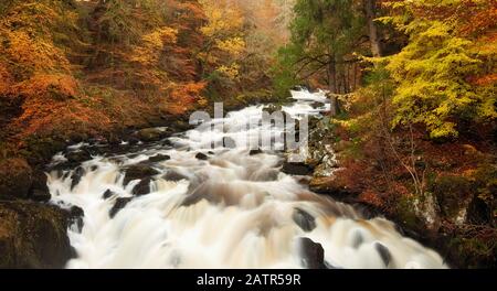 Nero Linn cade, Eremo, Dunkeld, Perthshire, Scotland, Regno Unito Foto Stock