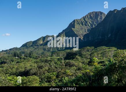 Ripido crinale di montagna coperto di alberi sorge sopra i Giardini Botanici di ho'omaluhia a Oahu Foto Stock