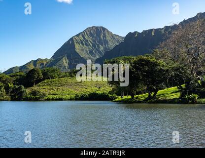 Ripido crinale di montagna coperto di alberi sorge sopra i Giardini Botanici di ho'omaluhia a Oahu Foto Stock