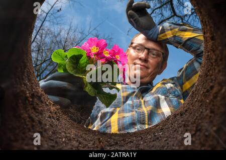 Un uomo scava una pianta nel giardino - una prospettiva sparata dal basso Foto Stock