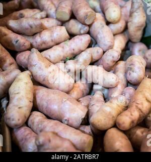 Patate da abete rosa fresche in scatola per la vendita sul mercato Foto Stock