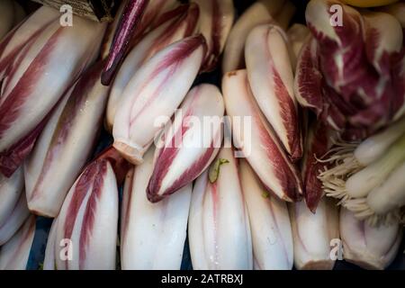 Il radicchio rosso di Treviso, comunemente noto come Treviso, ha foglie rosse allungate e variegate che hanno un sapore più delicato e meno amaro rispetto ai più fami Foto Stock