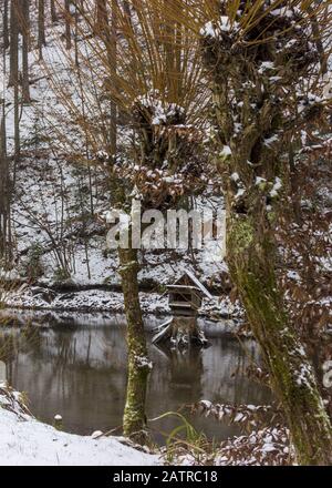 Nevoso salice e stagno in inverno e alimentatori per anatre e riflessione Foto Stock