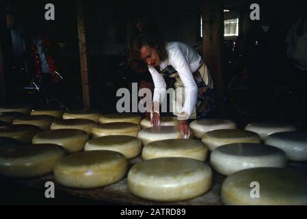 Fotografia vernacolare scattata su un film analogico 35mm trasparenza, si ritiene di raffigurare l'uomo in camicia manica lunga bianca tra grandi ruote di formaggio invecchiato, 1970. () Foto Stock