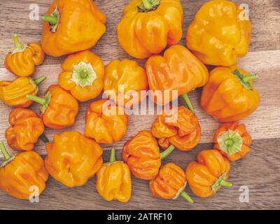 Mazzo di peperoncino rosso Habanero arancione su sfondo di legno Foto Stock