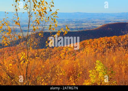 Crimora Overlook, Shenandoah National Park, Virginia, Stati Uniti Foto Stock