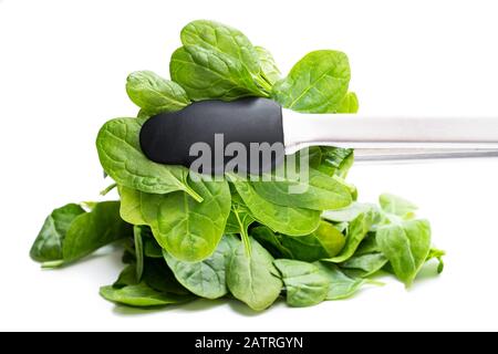 Tondi con foglie di insalata di spinaci isolate su bianco Foto Stock