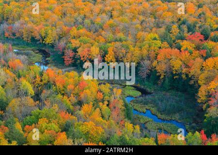 Big Carp River, Escarpment Trail, Lake Of The Clouds, Porcupine Mountains Wilderness State Park, Ontonagon, Michigan, Stati Uniti Foto Stock