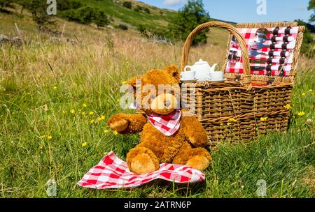 Teddy Bear's pic-nic. Un orso bruno carino che indossa un neckerchief rosso e bianco. Sabato in un prato inglese a Summertime. Tradizionale cesto in vimini Foto Stock