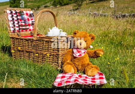 Teddy Bear's pic-nic. Un orso bruno carino che indossa un neckerchief rosso e bianco. Sabato in un prato inglese a Summertime. Tradizionale cesto in vimini Foto Stock