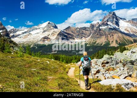 Escursionista femminile lungo un sentiero di montagna con neve coperta catena montuosa in lontananza e cielo blu e nuvole, Yoho National Park Foto Stock