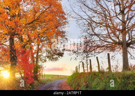 Country Road A Swoope, Shenandoah, Valley, Virginia, Stati Uniti Foto Stock