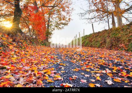 Country Road A Swoope, Shenandoah, Valley, Virginia, Stati Uniti Foto Stock