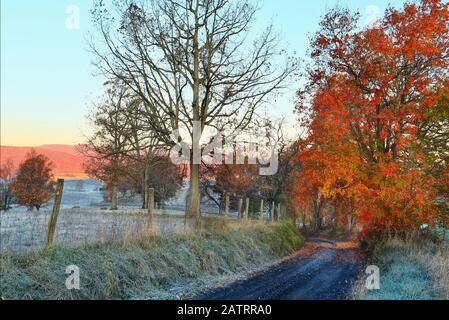 Country Road A Swoope, Shenandoah, Valley, Virginia, Stati Uniti Foto Stock