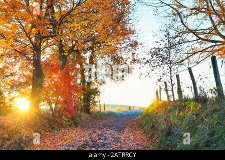 Country Road A Swoope, Shenandoah, Valley, Virginia, Stati Uniti Foto Stock