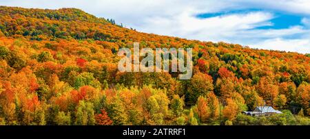 Una casa nascosta in una foresta alla base di una collina con fogliame colorato autunno; Iron Hill, Quebec, Canada Foto Stock