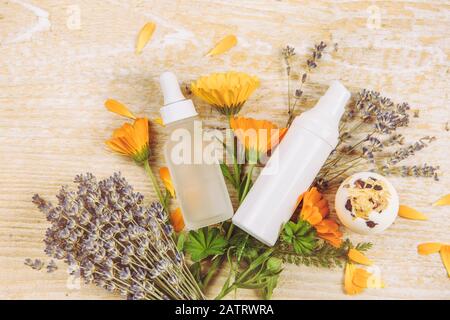 Concetto di cosmetici a base di piante organiche. Vista dall'alto di varie piante di erbe e contenitori di prodotti di bellezza su sfondo testurizzato di legno, molto spazio di copia. Foto Stock