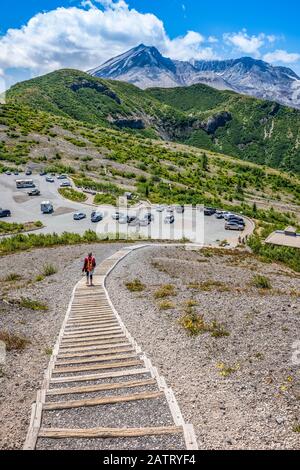 Scale che conducono dal parcheggio Windy Ridge Trailhead, la caldera del Monte Saint Helens sullo sfondo Foto Stock