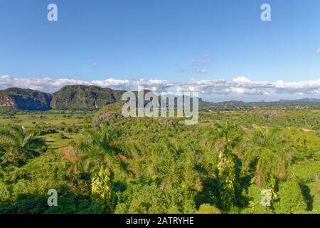 Verdi colline caraibiche panorama paesaggio a Vinales, Pinar del Rio, Cuba Foto Stock