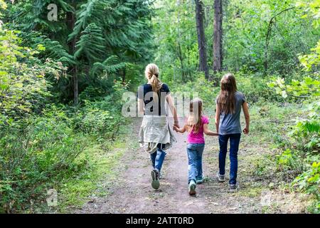 Tre sorelle che tengono le mani e camminano su un sentiero in una foresta; British Columbia, Canada Foto Stock