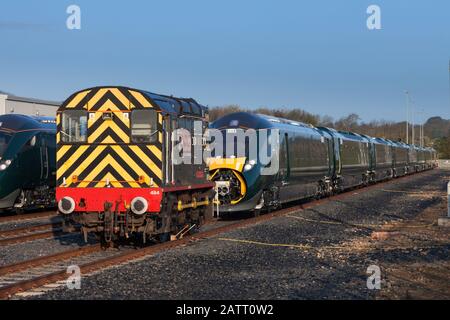 RSS class 08 shunter 08384 capitano Nathaniel Darell presso lo stabilimento di assemblaggio Hitachi di Newton Aycliffe con treni IEP di nuova costruzione di classe 800 Foto Stock