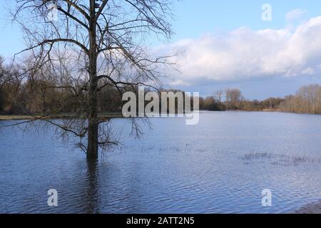 Hochwasser an der Donau a Neustadt an der Donau Foto Stock