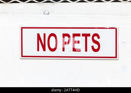 Segno bianco con lettere rosse e cornice che indica No Animali domestici. Il cartello si trova sul ponte di un traghetto passeggeri. Vernice bianca leggermente pelata. Foto Stock