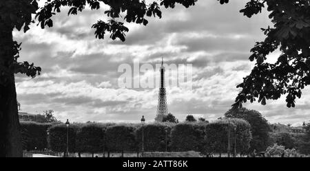 Torre Eiffel bianca e nera e nuvole Incorniciate Dalle Foglie del Giardino delle Tuileries Foto Stock