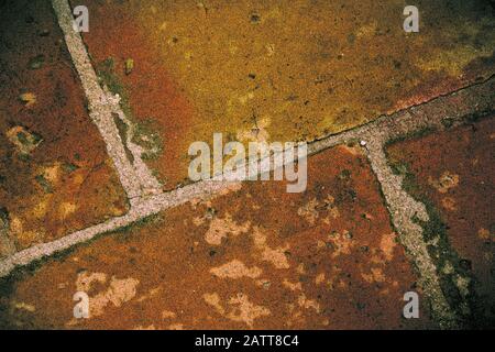 Primo piano di un vecchio pavimento formato da vecchie piastrelle che gli dà un'aria grunge di colori marrone e verde a causa della muffa Foto Stock