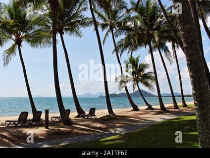 La pittoresca vista dal palmeto all'estremità meridionale della principale spiaggia di Palm Cove, in una bella e soleggiata giornata estiva di stagione umida Foto Stock