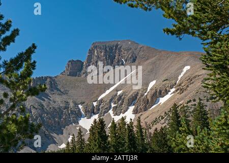 Spettacolare Wheeler Peak Incorniciato Dagli Alberi nel Great Basin National Park nello Utah Foto Stock