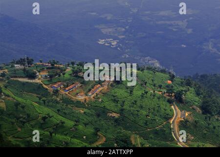 bella vista degli occhi di uccello del giardino del tè coonoor vicino alla stazione della collina di ooty, situata ai piedi della catena nilgiri in tamilnadu, india Foto Stock