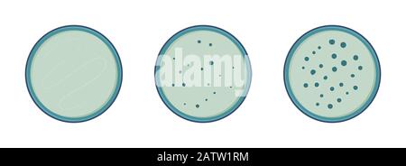 Microbiologia. Crescita dei batteri delle colonie in capsule di petry, 3 stadi, stile piatto vettoriale. Illustrazione Vettoriale