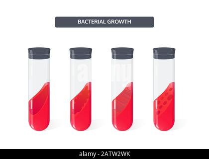 Crescita di colonie di batteri nel terreno di coltura nelle provette, concetto di microbiologia vettoriale Illustrazione Vettoriale