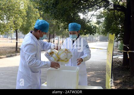 Hefei, La Provincia Cinese Di Anhui. 4th Feb, 2020. I medici prendono il pranzo gratuito consegnato da una società di catering in un sito di distribuzione a Hefei, capitale della provincia di Anhui nella Cina orientale, 4 febbraio 2020. Un'azienda di catering qui serve volontariamente pranzi gratuiti al personale medico dell'ospedale provinciale di Anhui dal 28 gennaio, una forma di sostegno per combattere l'epidemia di coronavirus. Credito: Huang Bohan/Xinhua/Alamy Live News Foto Stock