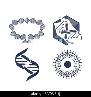 Badge molecola esagonale. Logo della struttura molecolare, griglie molecolari e modelli di molecole esagonali per chimica. DNA macromolecola, scienza bio code log Illustrazione Vettoriale