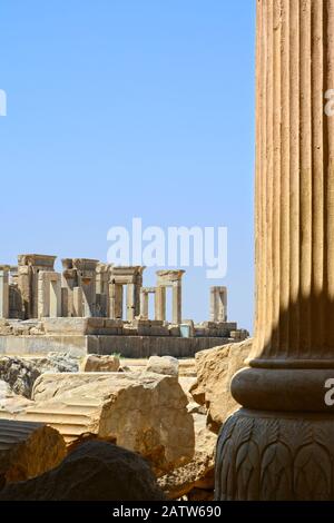 Una colonna della Sala Apadana di Persepolis in primo piano, con vista parziale del Palazzo di Darius in lontananza. Foto Stock