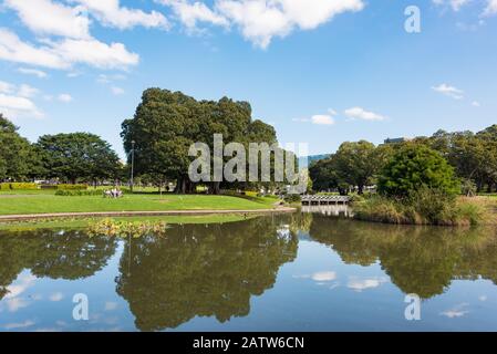 Sydney, Australia - 25 aprile 2016: Lago Northam e parco vicino a Unifversity di Sydney Foto Stock