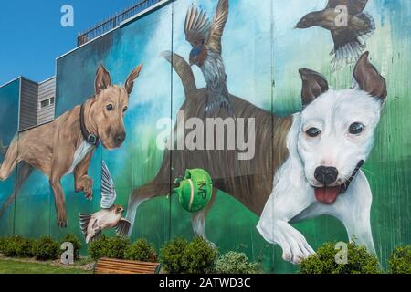 Street art con cani che giocano con una palla da tennis rotta, Prahran, Melbourne Foto Stock