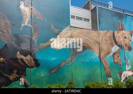 Street art con cani che giocano con una palla da tennis rotta, Prahran, Melbourne Foto Stock