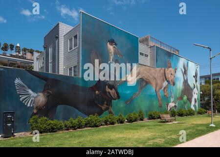 Street art con cani che giocano con una palla da tennis rotta, Prahran, Melbourne Foto Stock