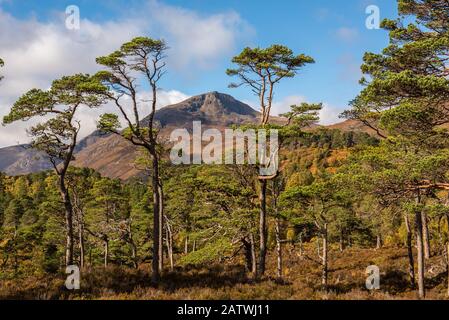 Sgurr na Lapaich in Glen Affric è forse la più bella glen della Scozia con una splendida combinazione di laghi, pini e montagne Foto Stock