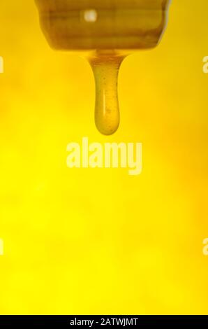 Schizzi di miele dolce biologico. Miele che sgocciola con miele penetratore. Il miele scorre dal bilanciere. Miele che si immerge dal cucchiaio di miele di legno Foto Stock